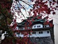 秋の名古屋城
